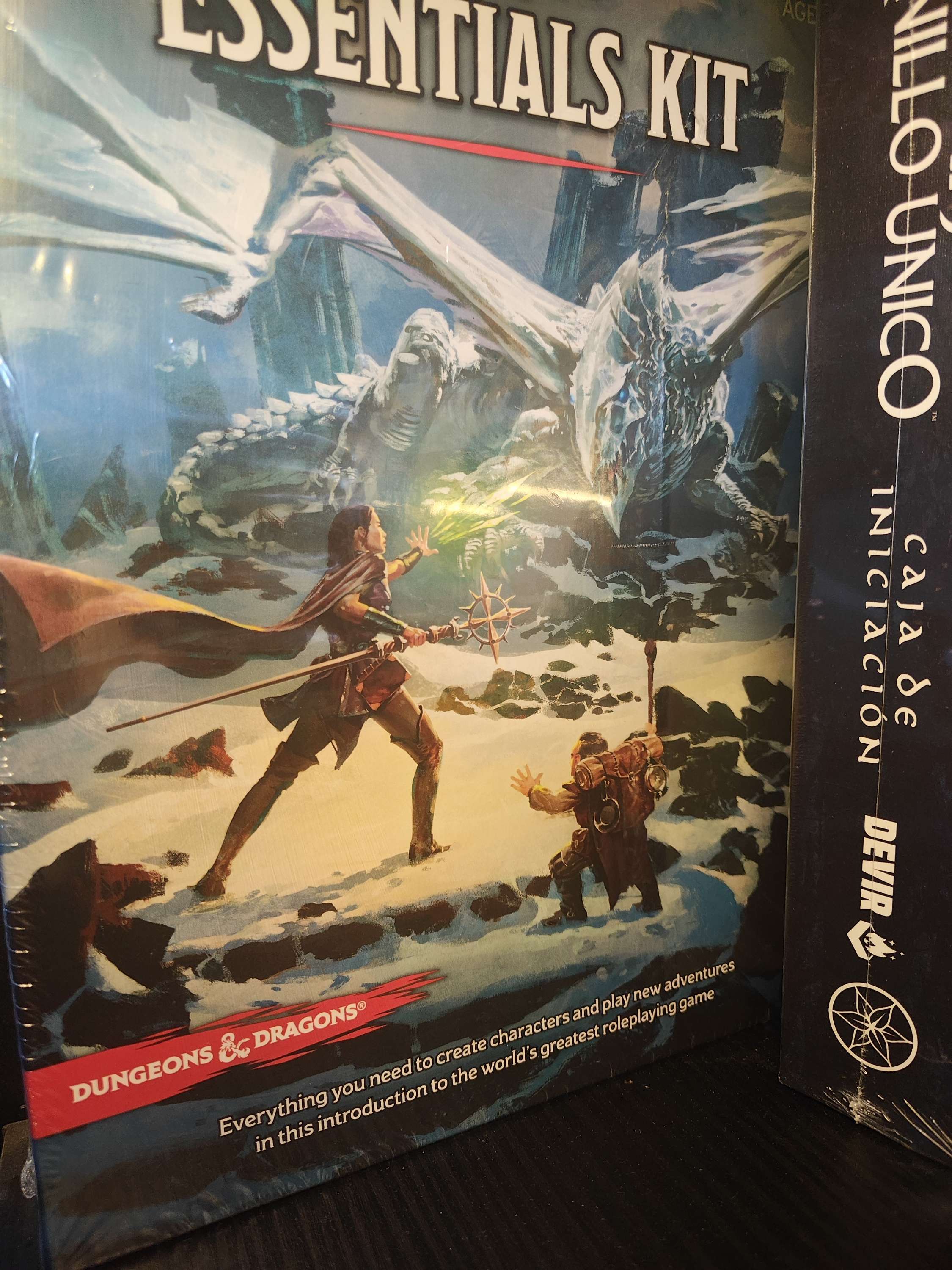 Dungeons and Dragons essential kit box