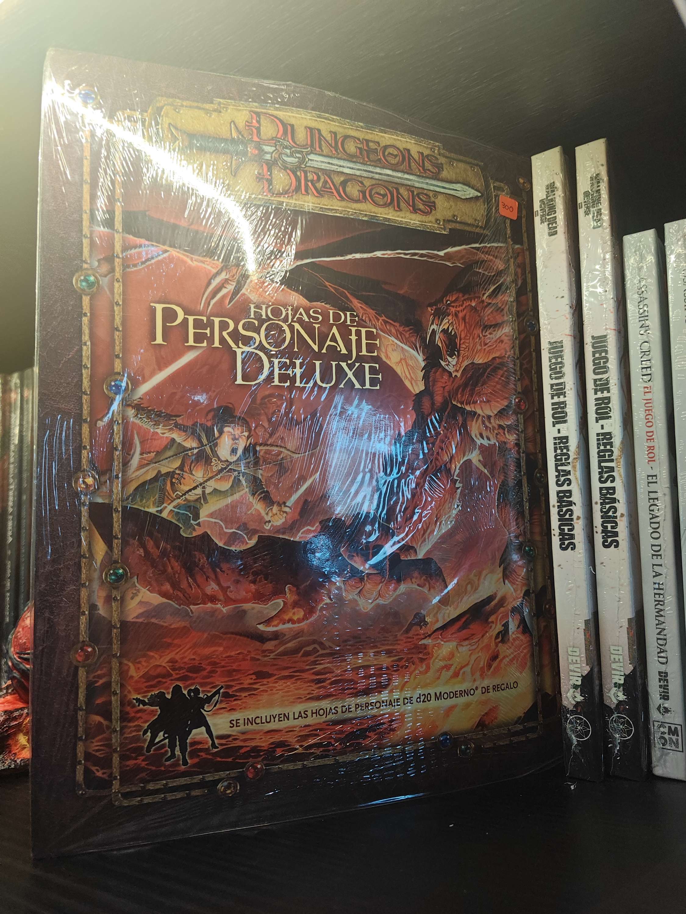 Dungeons and Dragons hojas de personaje Deluxe